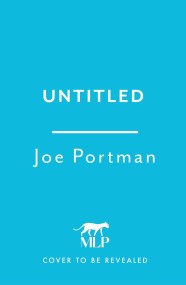 Untitled Joe Portman