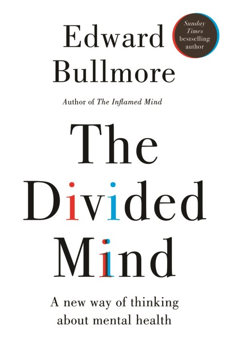 The Divided Mind