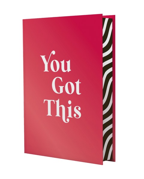 You Got This
